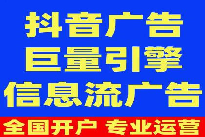 SEM公司案例分析：搜索引擎优化策略与执行