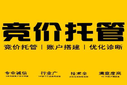 sem代运营公司案例解析：如何制定有效的广告策略